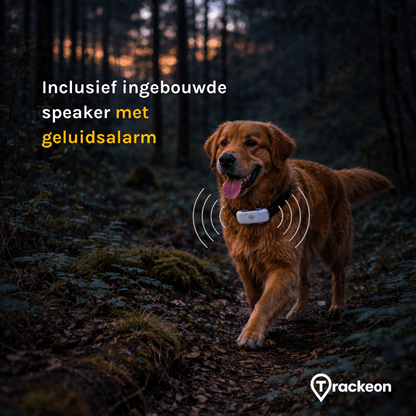 Premium Trackeon® GPS Tracker Hond zonder abonnement