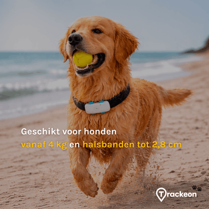 Premium Trackeon® GPS Tracker Hond zonder abonnement