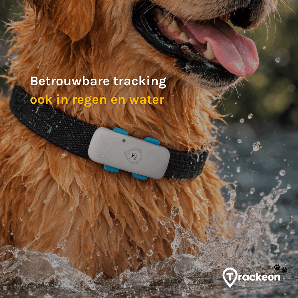 Premium Trackeon® GPS Tracker Hond zonder abonnement