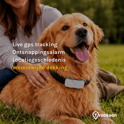 Premium Trackeon® GPS Tracker Hond zonder abonnement