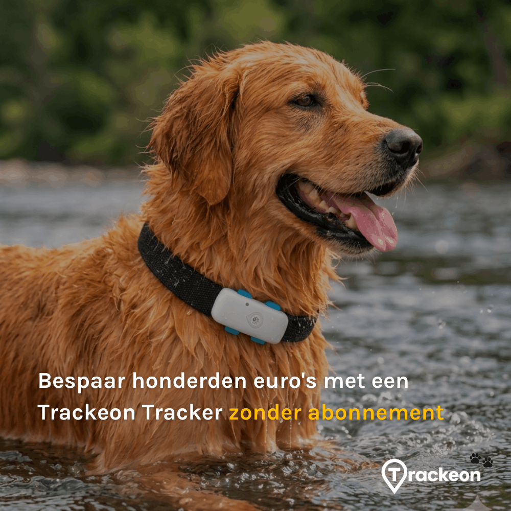 Premium Trackeon® GPS Tracker Hond zonder abonnement