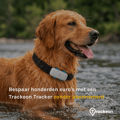 Premium Trackeon® GPS Tracker Hond zonder abonnement